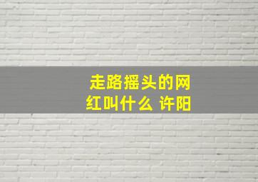 走路摇头的网红叫什么 许阳